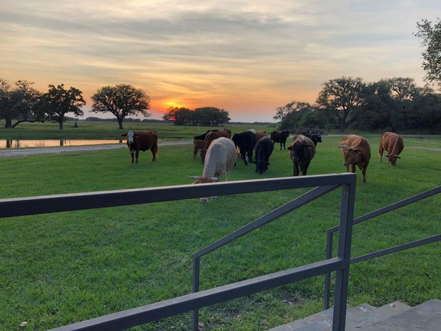 0 County Road 19, Hallettsville, TX 77964