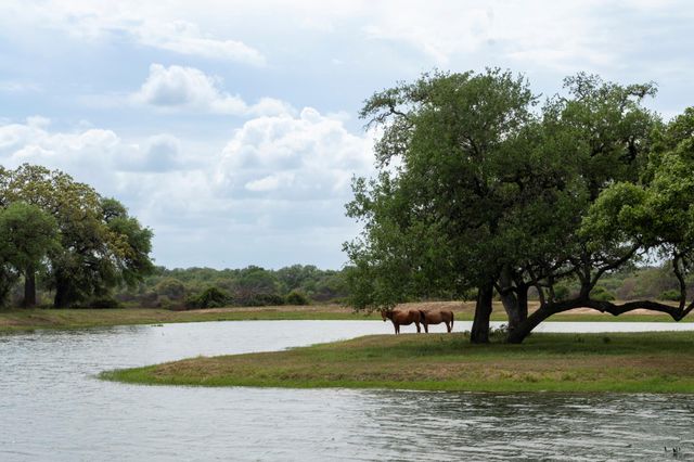 0 County Road 19, Hallettsville, TX 77964