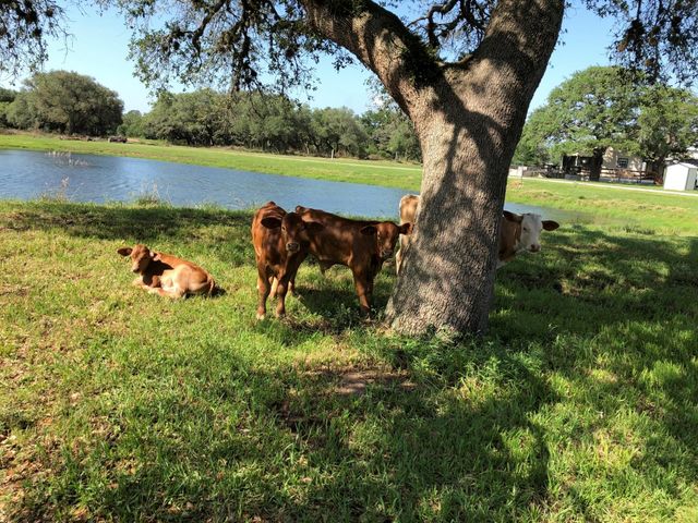 0 County Road 19, Hallettsville, TX 77964
