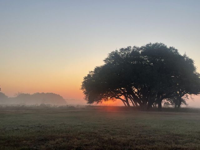 0 County Road 19, Hallettsville, TX 77964