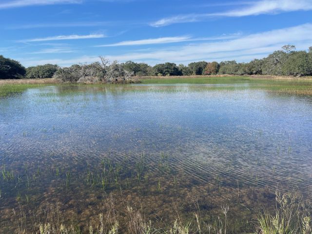 0 County Road 19, Hallettsville, TX 77964
