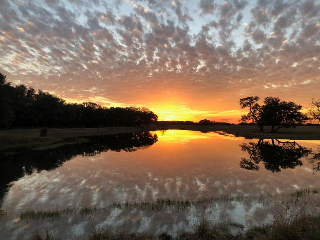 0 County Road 19, Hallettsville, TX 77964