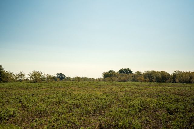 NA County Road 3660, Ladonia, TX 75449