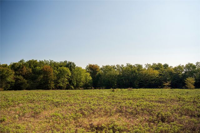 NA County Road 3660, Ladonia, TX 75449