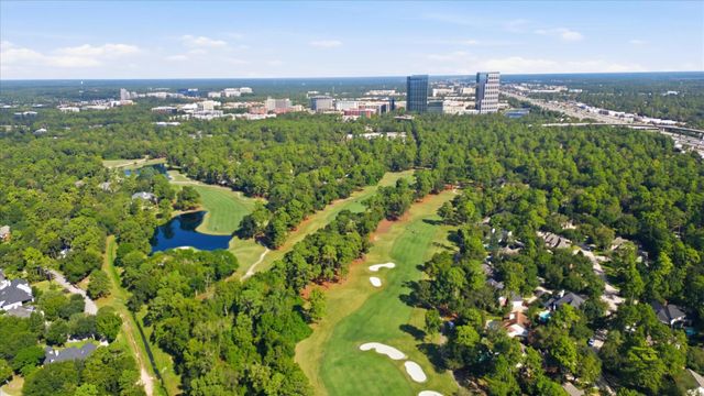 2 Rambling Wood Court, The Woodlands, TX 77380