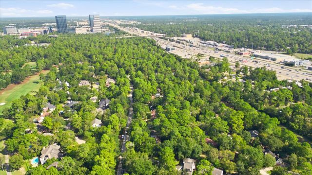 2 Rambling Wood Court, The Woodlands, TX 77380