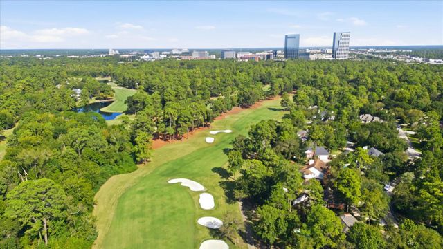 2 Rambling Wood Court, The Woodlands, TX 77380