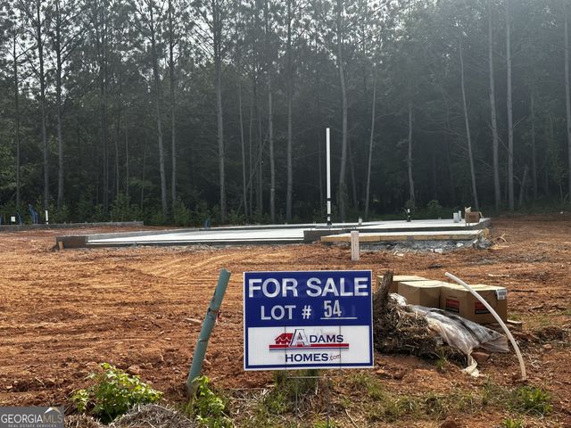213 Laney Drive LOT 54, Carrollton, GA 30117