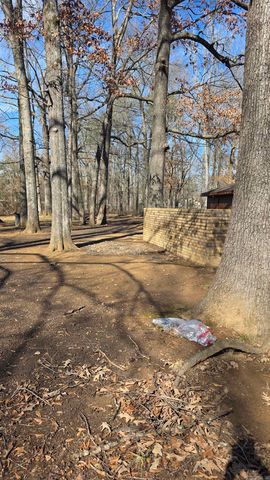 9906 Ramona Drive, Little Rock, AR 72209