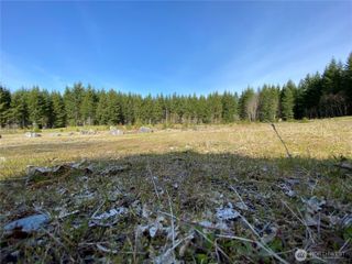 0 XXX 250th Ave E, Orting, WA 98360