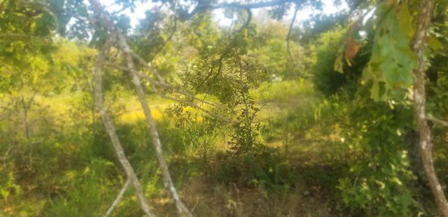 3445 Magnolia Road, Salem, AR 72576