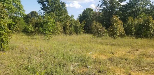 3445 Magnolia Road, Salem, AR 72576