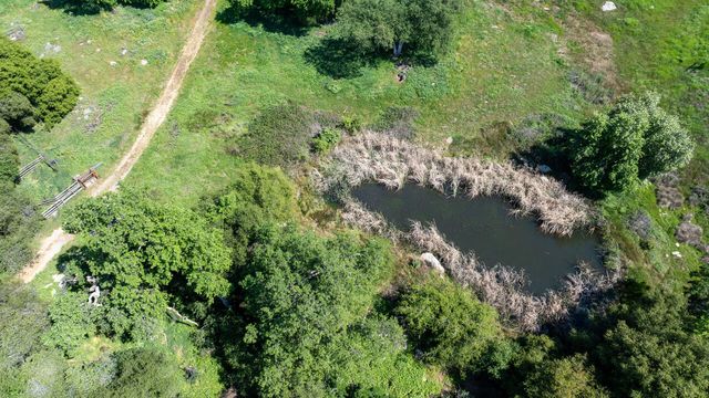 43666 Balch Park Road, Springville, CA 93265