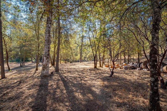 2460 Walgra Meadows Cir, Meadow Vista, CA 95722
