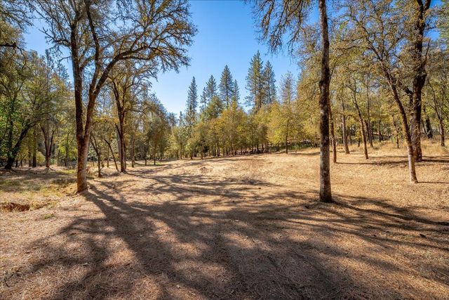 2460 Walgra Meadows Cir, Meadow Vista, CA 95722