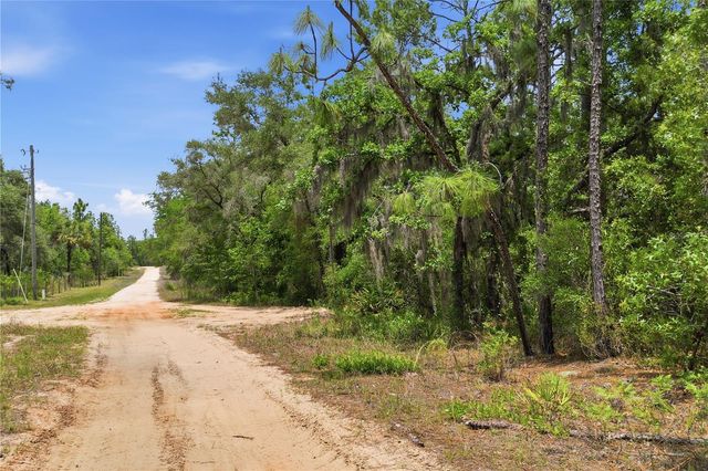 5339 N LACE POINT, Dunnellon, FL 34433