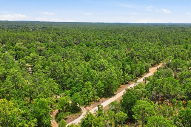 5339 N LACE POINT, Dunnellon, FL 34433