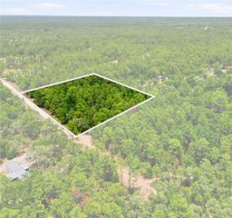 5339 N LACE POINT, Dunnellon, FL 34433