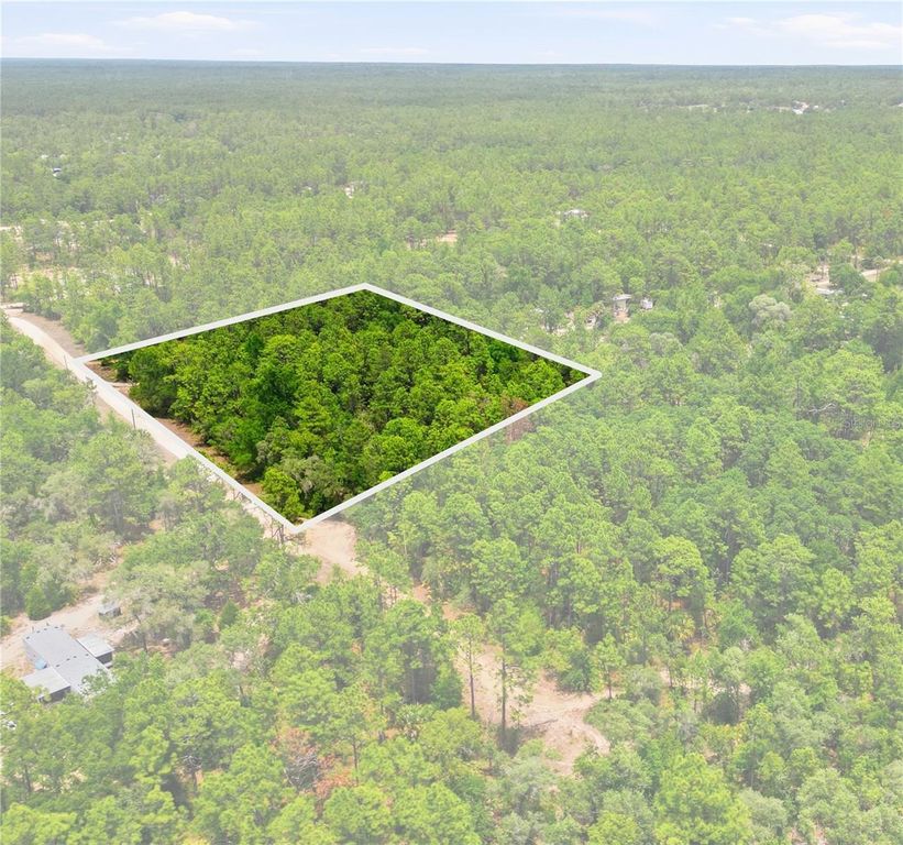 5339 N LACE POINT, Dunnellon, FL 34433