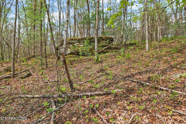 70.69 Acres Old Collins Rd, Deer Lodge, TN 37726