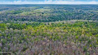 Old Collins Rd, Deer Lodge, TN 37726