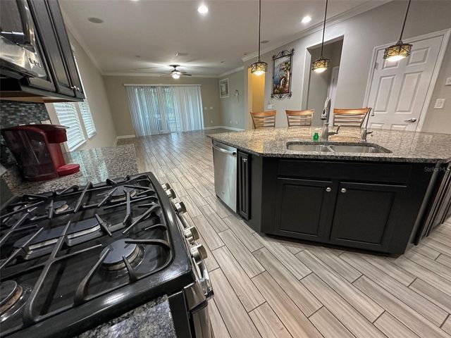 21529 SOUTHERN CHARM DRIVE, Land O Lakes, FL 34637