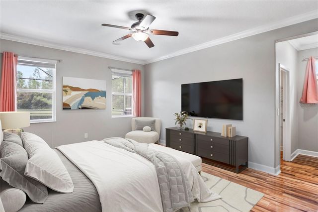 21529 SOUTHERN CHARM DRIVE, Land O Lakes, FL 34637