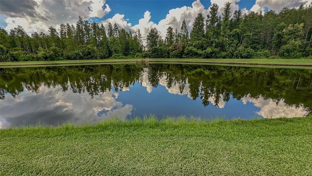 21529 SOUTHERN CHARM DRIVE, Land O Lakes, FL 34637