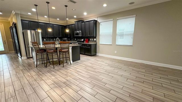 21529 SOUTHERN CHARM DRIVE, Land O Lakes, FL 34637