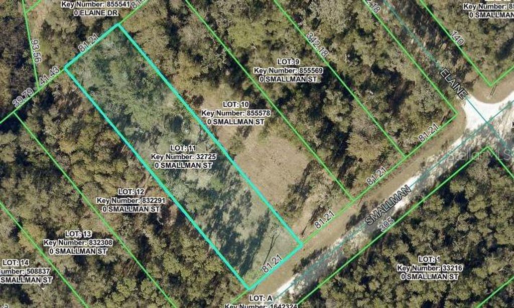 SMALLMAN STREET, Webster, FL 33597