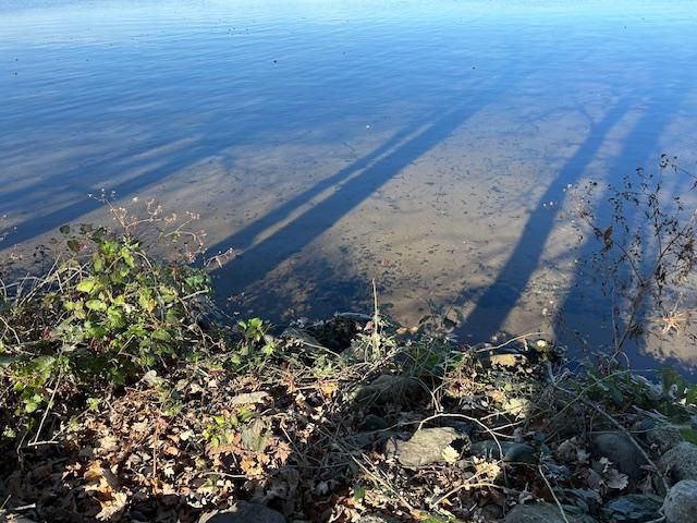 14438 Cedarleaf Point Road, Brainerd, MN 56401