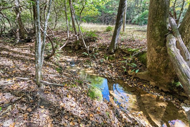 217 Goldmine Road, Morganton, GA 30560