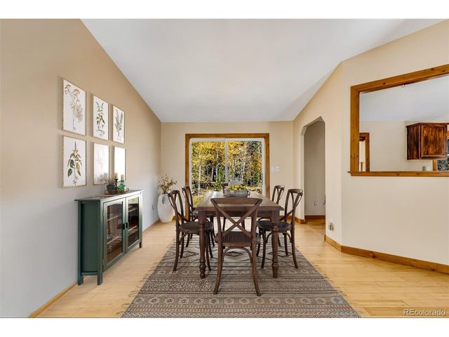 133 Foxtail Ct, Fairplay, CO 80440