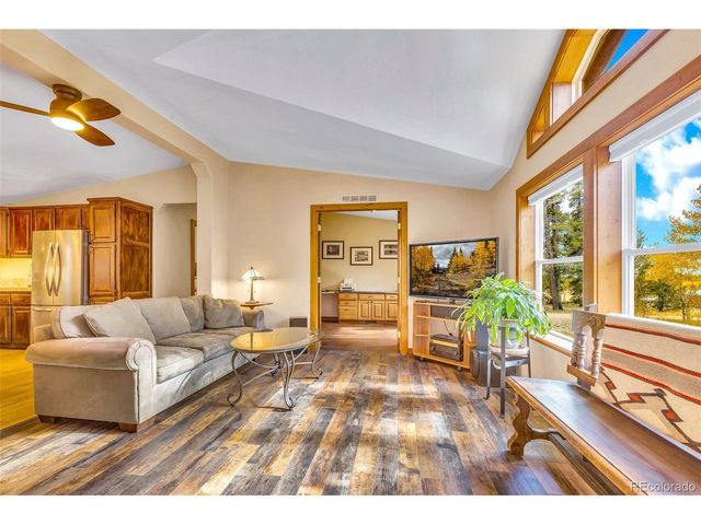 133 Foxtail Ct, Fairplay, CO 80440