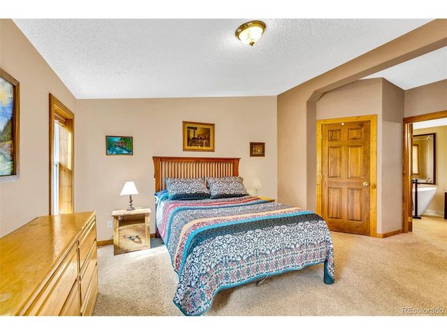 133 Foxtail Ct, Fairplay, CO 80440