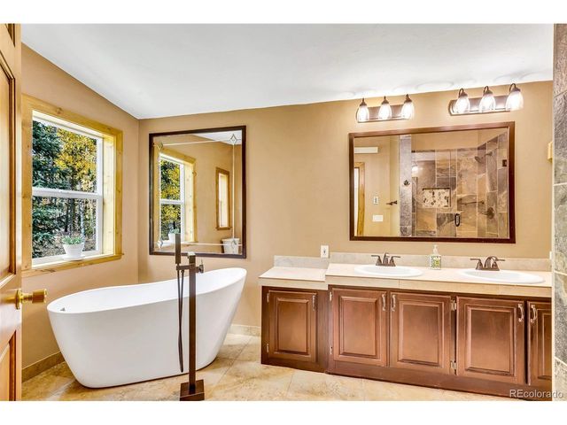 133 Foxtail Ct, Fairplay, CO 80440