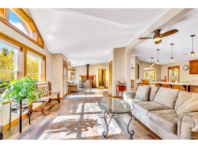 133 Foxtail Ct, Fairplay, CO 80440