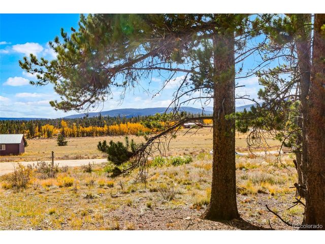 133 Foxtail Ct, Fairplay, CO 80440