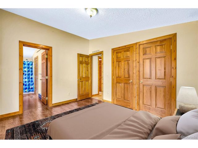 133 Foxtail Ct, Fairplay, CO 80440