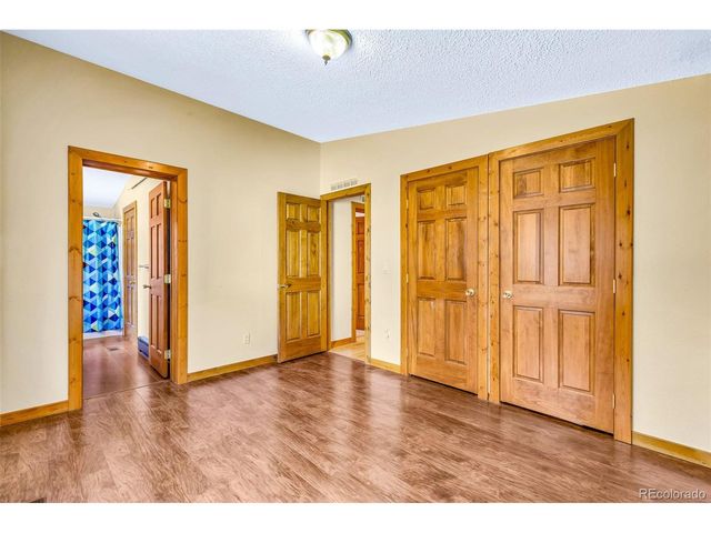 133 Foxtail Ct, Fairplay, CO 80440