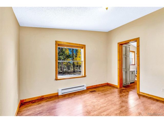 133 Foxtail Ct, Fairplay, CO 80440