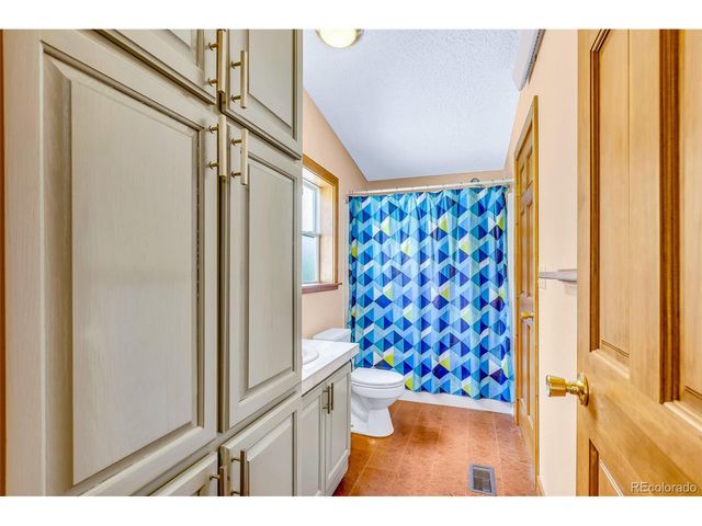 133 Foxtail Ct, Fairplay, CO 80440