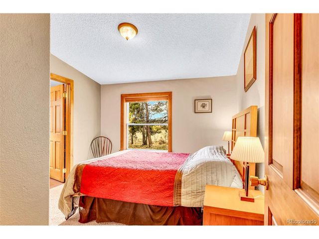 133 Foxtail Ct, Fairplay, CO 80440