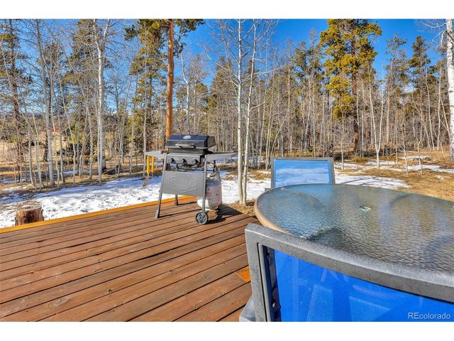 133 Foxtail Ct, Fairplay, CO 80440