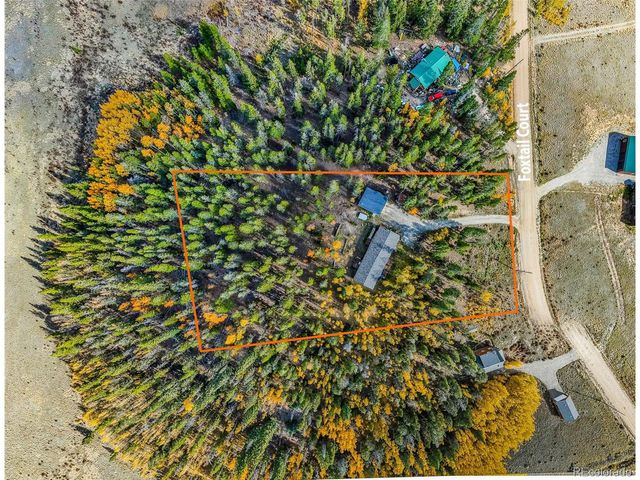 133 Foxtail Ct, Fairplay, CO 80440