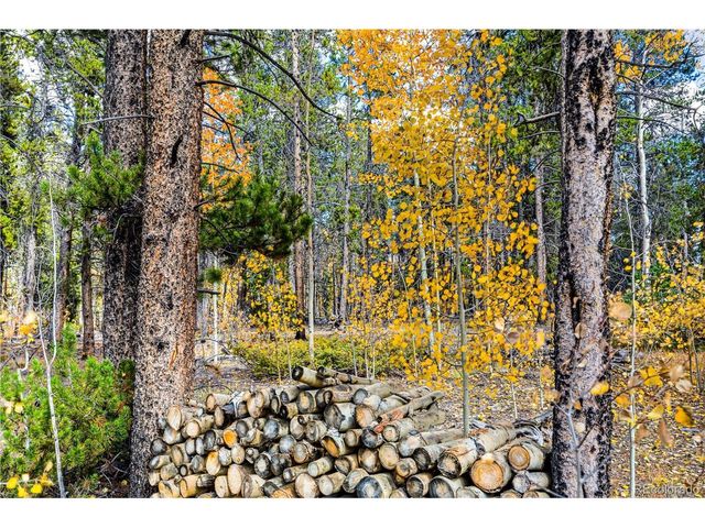 133 Foxtail Ct, Fairplay, CO 80440