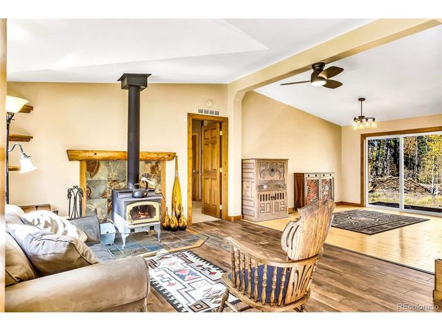 133 Foxtail Ct, Fairplay, CO 80440