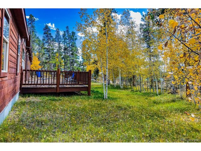 133 Foxtail Ct, Fairplay, CO 80440