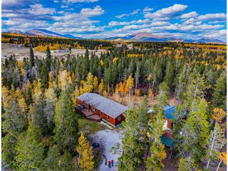 133 Foxtail Ct, Fairplay, CO 80440