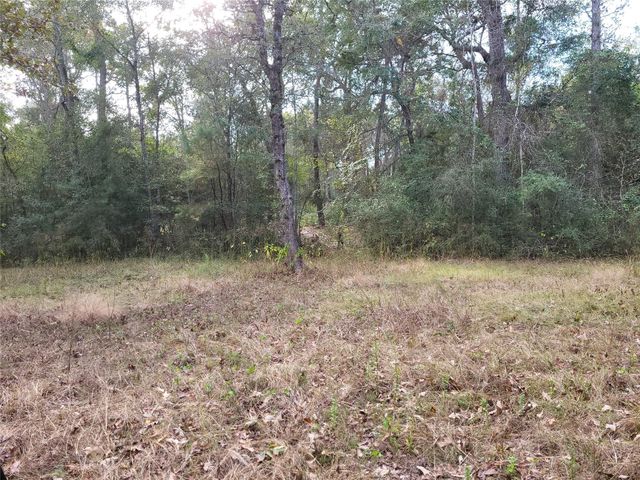 27055 Sandy Creek, Magnolia, TX 77355